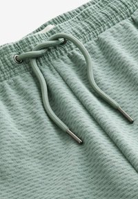 Next BRICK TEXTURED  - REGULAR FIT - Træningsbukser - sage green