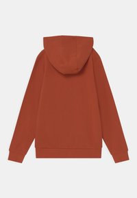 Sudadera con capucha color óxido, de manga larga, con puños y dobladillo acanalados. Textura suave, sin patrones ni herrajes visibles. Diseño sencillo.