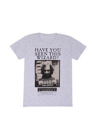 Harry Potter HARRY POTTER SIRIUS POSTER - T-shirt con stampa - heather grey
