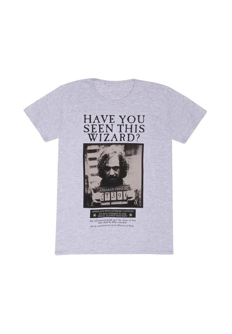 Harry Potter HARRY POTTER SIRIUS POSTER - T-shirt con stampa - heather grey