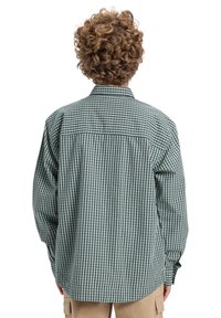 Groen en wit geblokt overhemd met standaard kraag, lange mouwen en een relaxte fit. Bevat een ingezette schouder en een ronde zoom.