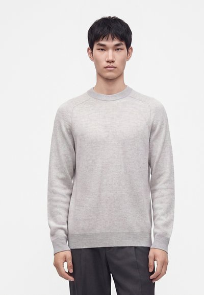 Jeune homme aux cheveux courts et noirs, portant un pull gris clair à manches longues et un pantalon gris foncé, debout devant un fond blanc uni.
