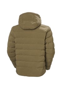 Bruine gewatteerde winterjas met capuchon, gezien van de achterkant op een witte achtergrond.