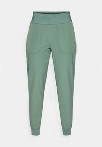 THALE JOGGER PANTS - Outdoor trousers - dusty midtone green