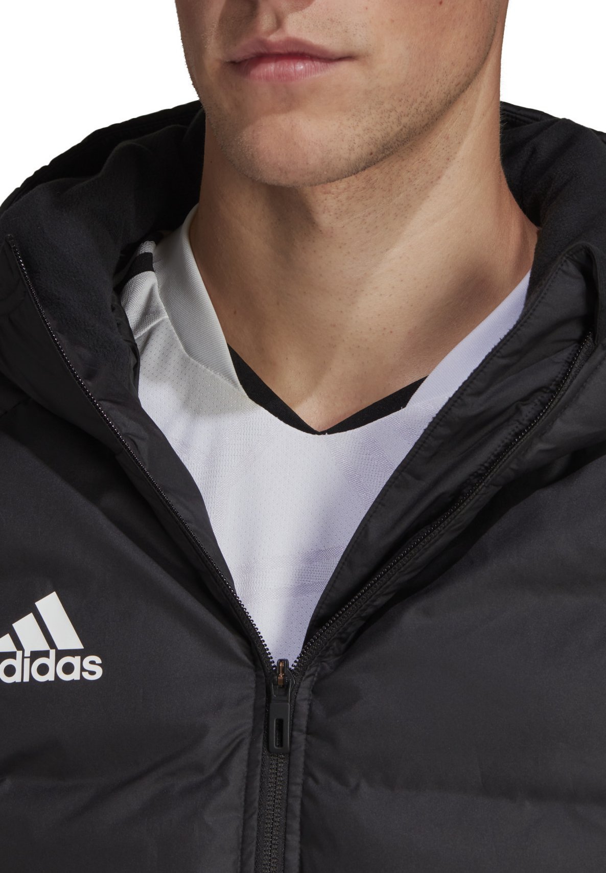 adidas Performance TEAMSPORT CONDIVO 2 - Winterjas - schwarz/zwart -  Zalando.be