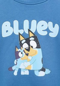 Svetlá modrá mikina s potlačou karikatúrnych psov, Bluey a Bingo, s textom "BLUEY" v bielej farbe nad nimi, na tmavšom modrom pozadí.