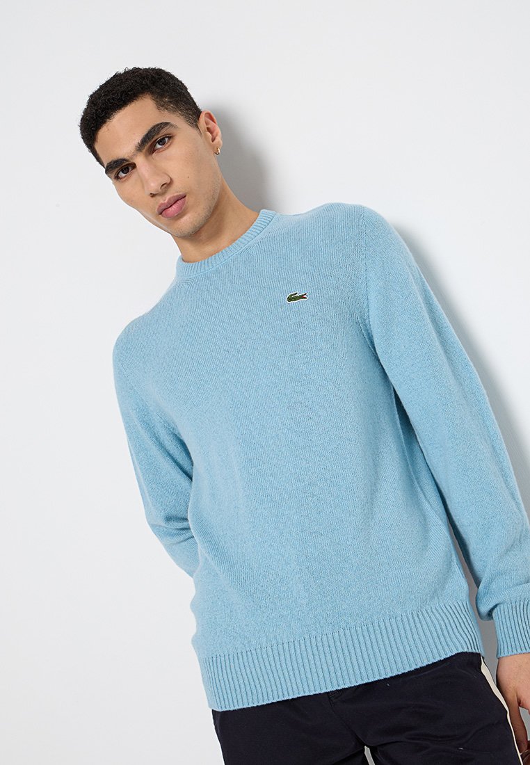 Pull en tricot bleu clair avec un col rond, des poignets et un ourlet côtelés, présentant un petit logo vert sur la poitrine. Texture douce.