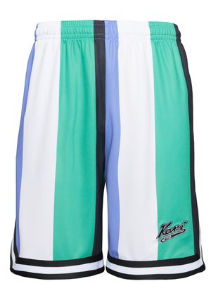 VARSITY STRIPED UNISEX - Kratke hlače - multicolor