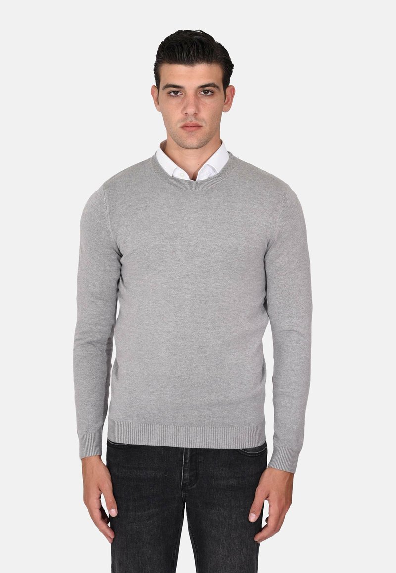 Maglione grigio chiaro a maniche lunghe con scollo rotondo, realizzato in un morbido tessuto a maglia; presenta polsini e bordo a costine, indossato sopra una camicia bianca.