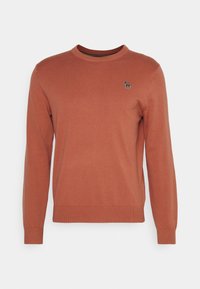 Pull à manches longues couleur rouille avec col rond et petit logo zèbre multicolore sur la poitrine gauche.