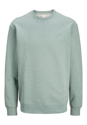 Hellgrüner Pullover aus weichem Stoff, mit Rundhalsausschnitt und langen Ärmeln. Einfaches Design, ohne sichtbare Muster oder Logos.