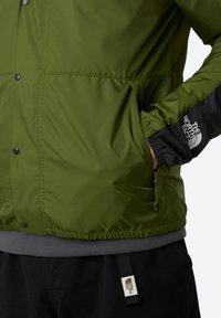 The North Face M SEASONAL MOUNTAIN JACKET - EU - Outdoorjacka - woodland green