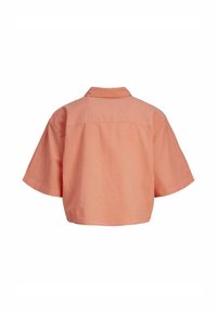 Kurzärmliges, cropped Shirt aus weichem Pfirsichstoff mit Kragen und Rückenpasse; glatte Textur und lässige Passform.