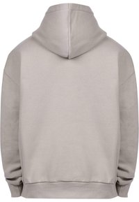 Kapuzensweatshirt in Hellgrau, mit einem weichen Baumwollmix, gerippten Bündchen und Saum, schlichtem Rückendesign und ohne sichtbares Branding.