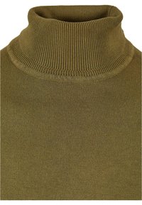Olivgrön polotröja med en mjuk, ribbad textur och hög krage. Har en figurnära design och slät stickad tyg genom hela plagget.