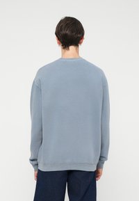 Light blue sweatshirt with long sleeves, ribbed cuffs and hem, made from soft cotton fabric. Clean, simple design with no visible logos.
