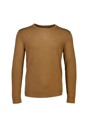 Brązowy sweter typu crew-neck wykonany z dzianiny. Posiada długie rękawy, ściągacze na mankietach oraz dyskretną naszywkę na klatce piersiowej.