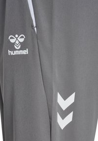 Pantaloni sportivi grigi con una texture liscia, dotati di un logo bianco e di un motivo a chevron. Inclusa una tasca laterale.