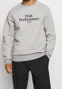 Felpa grigia in cotone con maniche raglan e collo rotondo. Al centro, il testo nero recita "Peak Performance" con "Est. 1986" sottostante.