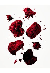 Pétales de fleurs séchées rouges de formes et tailles variées, certains avec des textures et des détails définis, dispersés sur un fond blanc.