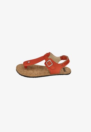 koel ARIANA - Zehentrenner - coral