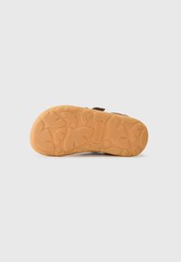 Bisgaard RICCO - Baskets basses - dark brown