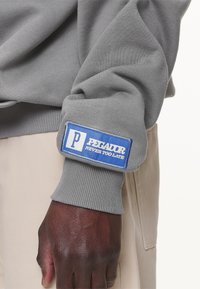 Pegador CARLO HOODIE - Jersey con capucha - washed cool grey