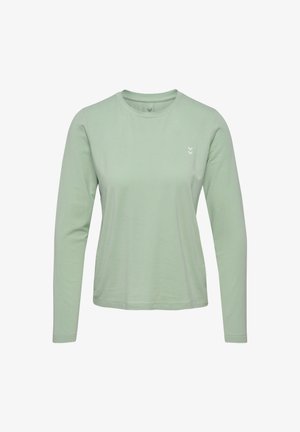 Lange mouwen mintgroene shirt van zacht materiaal. Heeft een ronde hals en een klein logo in het wit op de linkerkant van de borst.