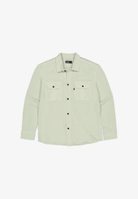 Geselecteerd, dk delphi green