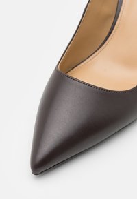 Chaussure à talon haut en cuir brun foncé à bout pointu avec doublure intérieure beige sur fond blanc.