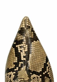 Puntige hak met een synthetisch slangenleerpatroon in beige en zwart. De textuur is glad met een glanzende afwerking.