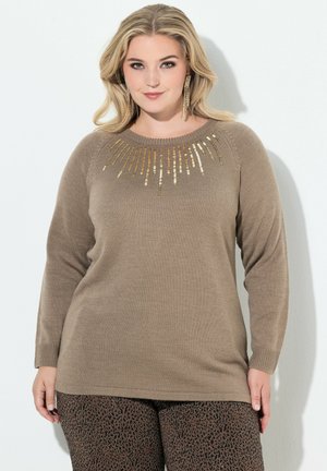 Pull en tricot beige avec un col rond, des manches longues et un design en sequins dorés en éclat sur la poitrine. Tissu texturé et confortable.