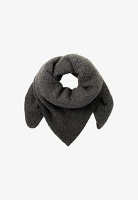 Pasirinkta, evident anthracite