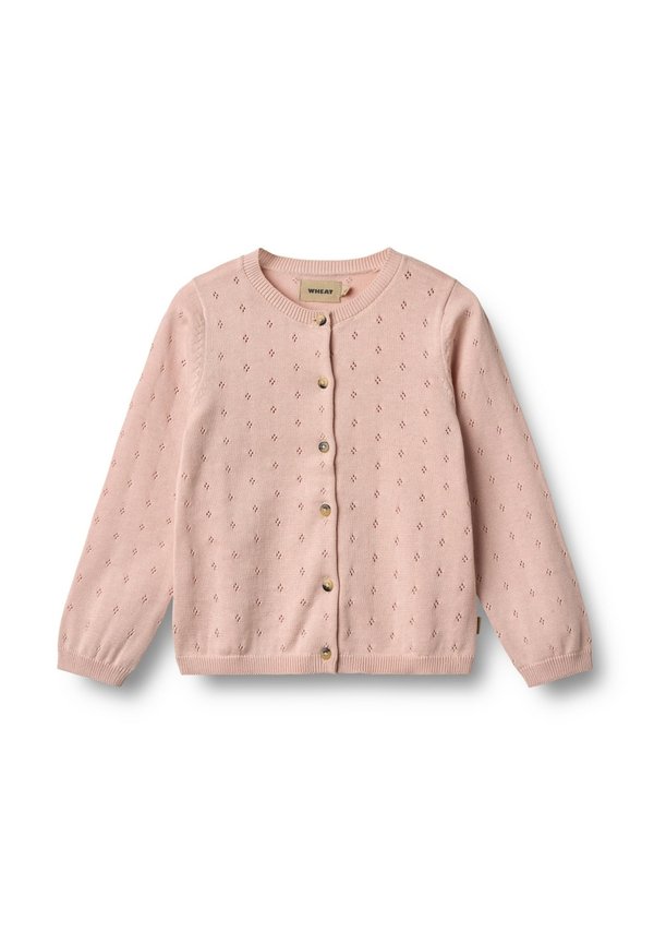 MAIA - Strickjacke - powder