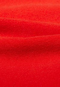 Mammut INNOMINATA - Giacca in pile - mammut red black