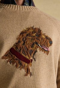 Beež särk, mis sisaldab üksikasjalikku tikandit koera kujutisega, kasutades pruuni ja kuldset lõnga, näidates tekstuuri ja värvikontrasti.