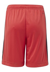 Czerwone spodenki sportowe wykonane z gładkiego, lekkiego materiału. Posiadają elastyczny pas i czarne akcenty po bokach. Długość do połowy uda.