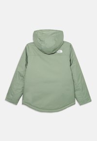 Hele roheline kapuutsiga jakk pikade varrukatega, ümarat lõppu ja väike valge "The North Face" logo paremal ülemisel selja küljes.