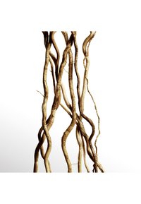 Thumbnail Image 7