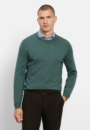 Uomo con capelli corti indossa un maglione turchese sopra una camicia a righe blu e pantaloni scuri, in piedi con una mano in tasca davanti a uno sfondo chiaro.