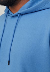 Jack & Jones JJEBRADLEY HOOD - Sweatshirt - pacific coast