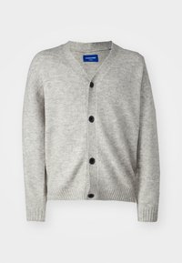 JOROLLIE CARDIGAN - Cardigan - light grey melange