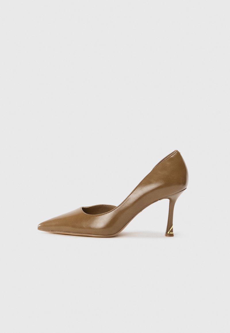Brown leather high-heeled shoe with a pointed toe, cutout vamp, and a gold accent on the heel. Smooth texture and sleek design.