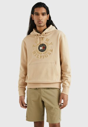 ICON ROUNDALL GRAPHIC HOODY - Felpa con cappuccio - clayed pebble