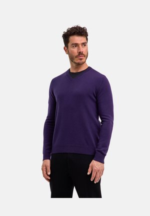 PULLOVER - Maglione - violet