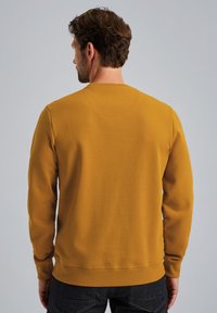 PME Legend SWEATSHIRT ARTWORK - Felpa - buckthorne brown