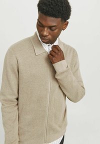 Cardigan beige con zip, realizzato in tessuto a maglia testurizzato, con colletto piatto e maniche lunghe, indossato sopra una camicia a righe.