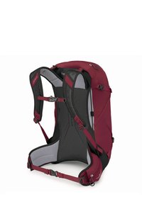 Bordeaux kleurige wandelrugzak met gaasvoering, verstelbare banden en een gebogen ontwerp. Voorzien van een grijze interieur en versterkte hardware.