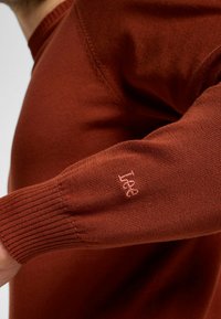 Sweter w kolorze rdzy z dzianiny, z prążkowanymi mankietami i okrągłym dekoltem; na rękawie znajduje się małe haftowane logo. Materiał wydaje się miękki i gładki.
