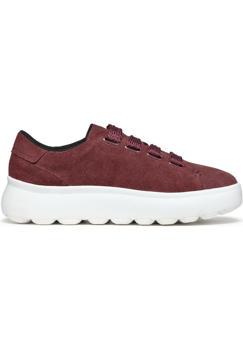 Bordeaux suède sneakers met een witte rubberen zool. Voorzien van afgeronde randen, gestructureerde veters en een laag profiel ontwerp.